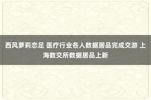 西风萝莉恋足 医疗行业各人数据居品完成交游 上海数交所数据居品上新