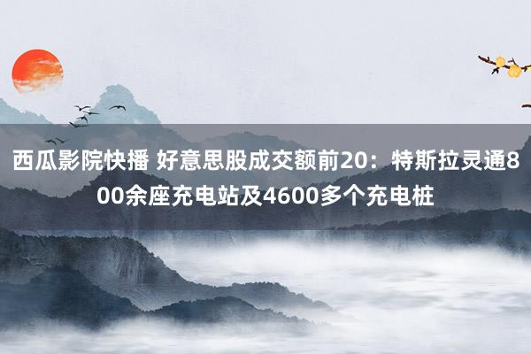 西瓜影院快播 好意思股成交额前20：特斯拉灵通800余座充电站及4600多个充电桩