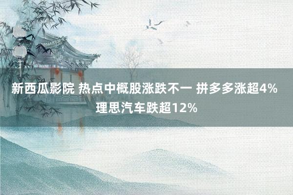 新西瓜影院 热点中概股涨跌不一 拼多多涨超4% 理思汽车跌超12%