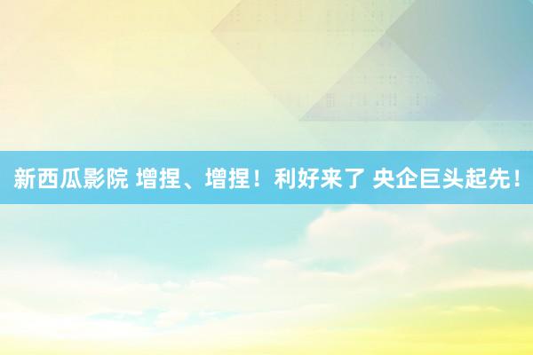 新西瓜影院 增捏、增捏！利好来了 央企巨头起先！