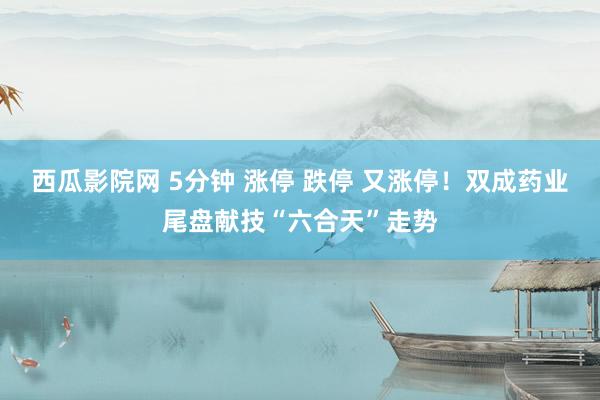 西瓜影院网 5分钟 涨停 跌停 又涨停！双成药业尾盘献技“六合天”走势