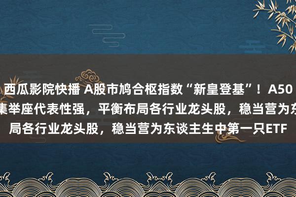 西瓜影院快播 A股市鸠合枢指数“新皇登基”！A500ETF(159339)对市集举座代表性强，平衡布局各行业龙头股，稳当营为东谈主生中第一只ETF