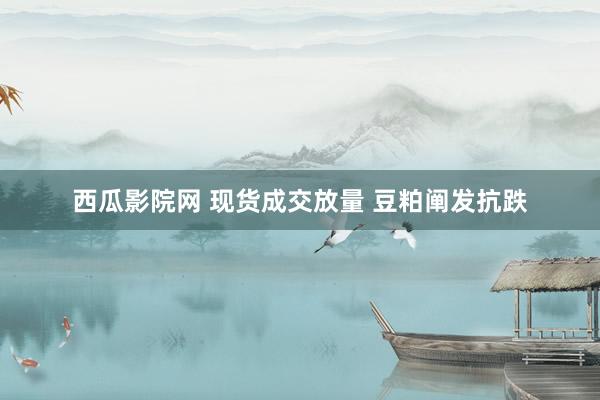西瓜影院网 现货成交放量 豆粕阐发抗跌