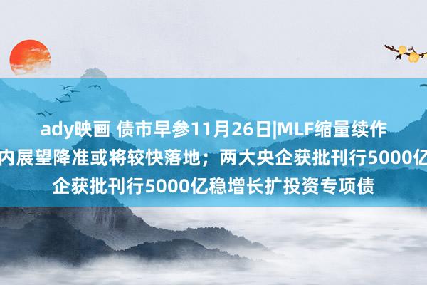 ady映画 债市早参11月26日|MLF缩量续作，债市热枕上涨，业内展望降准或将较快落地；两大央企获批刊行5000亿稳增长扩投资专项债