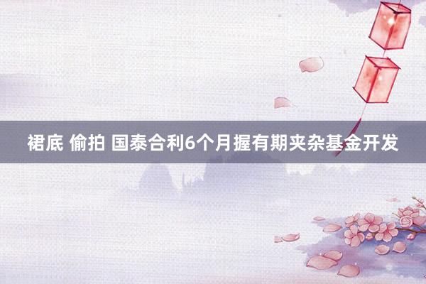裙底 偷拍 国泰合利6个月握有期夹杂基金开发