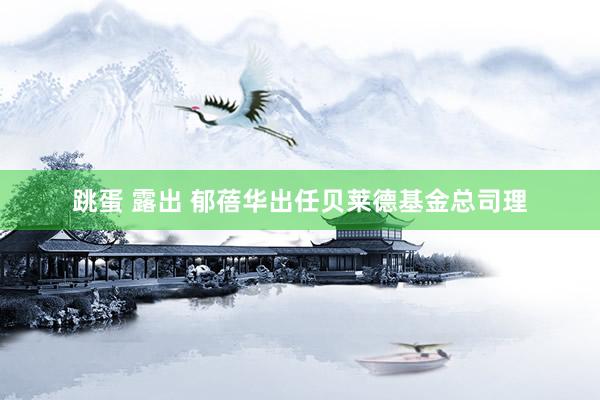 跳蛋 露出 郁蓓华出任贝莱德基金总司理