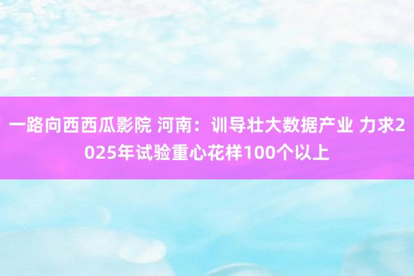 一路向西西瓜影院 河南：训导壮大数据产业 力求2025年试验重心花样100个以上